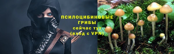 первитин Лиски