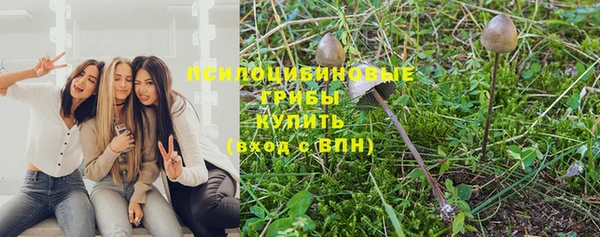 таблы Липки