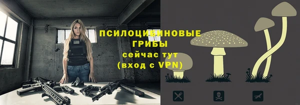 spice Лихославль