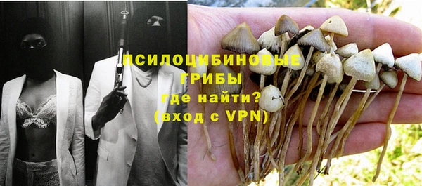 первитин Лиски