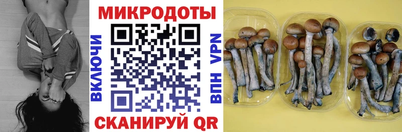Галлюциногенные грибы GOLDEN TEACHER  Купить закладки  Кувшиново 
